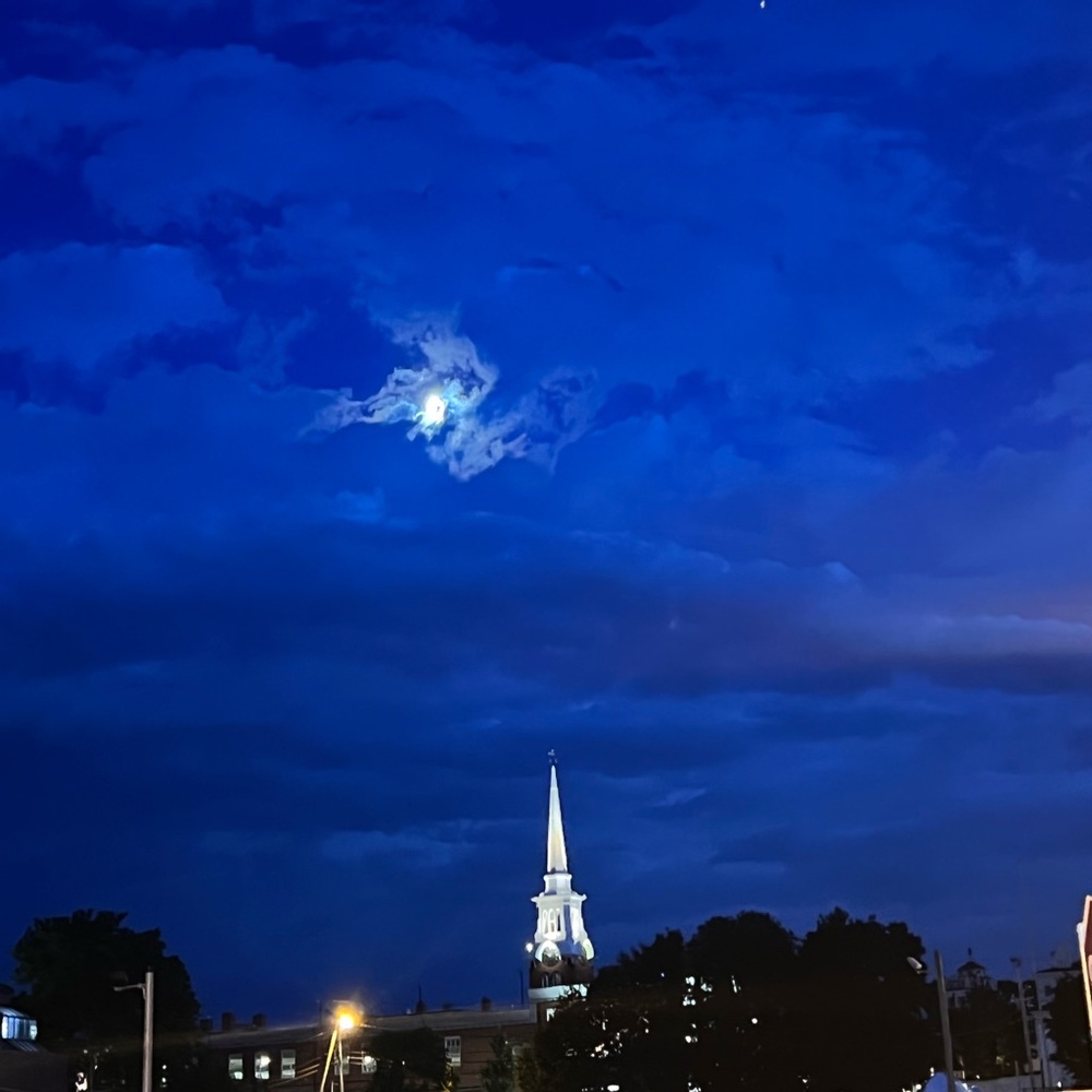 Meet your Posher, Lizzy